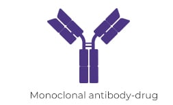 Monoclonal antibody-drug