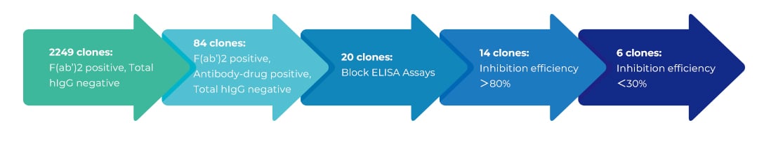 Against antibody-drug, 20 clones were selected for blocking application