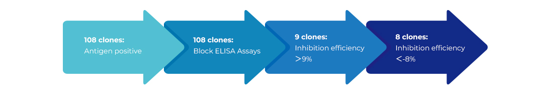 Against peptide-drug, 9 clones were selected for blocking application