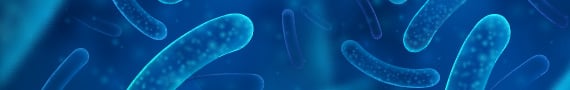Bacterial