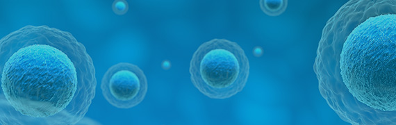 CellPower™ Assay Cell Line Development