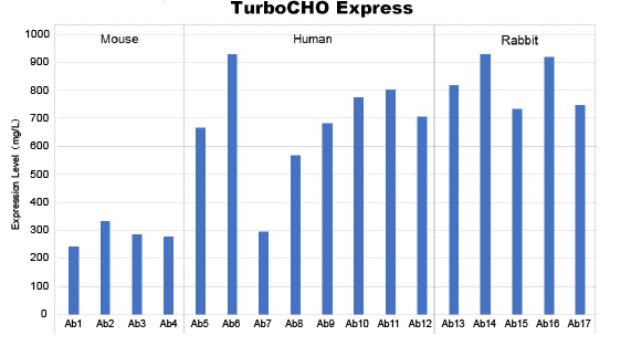 High expression titers of multiple isotypes High expression titers of multiple isotypes