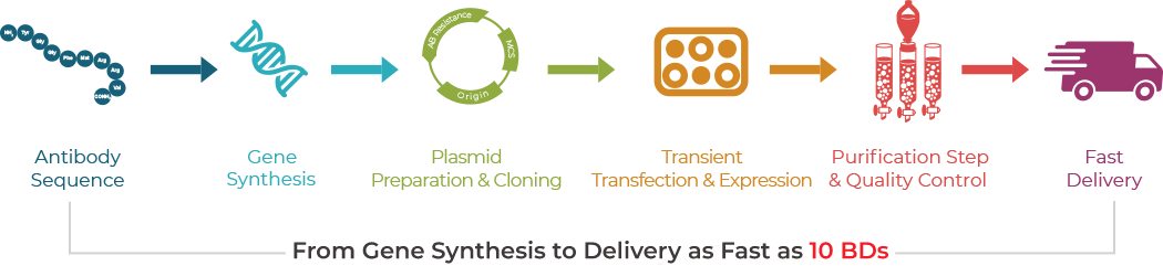 From gene synthesis to delivery workflow