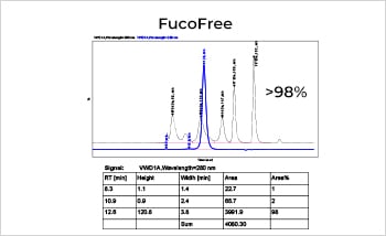 Bi-specific Antibody Production