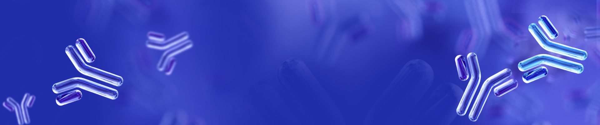 Anti-idiotype Antibody Services
