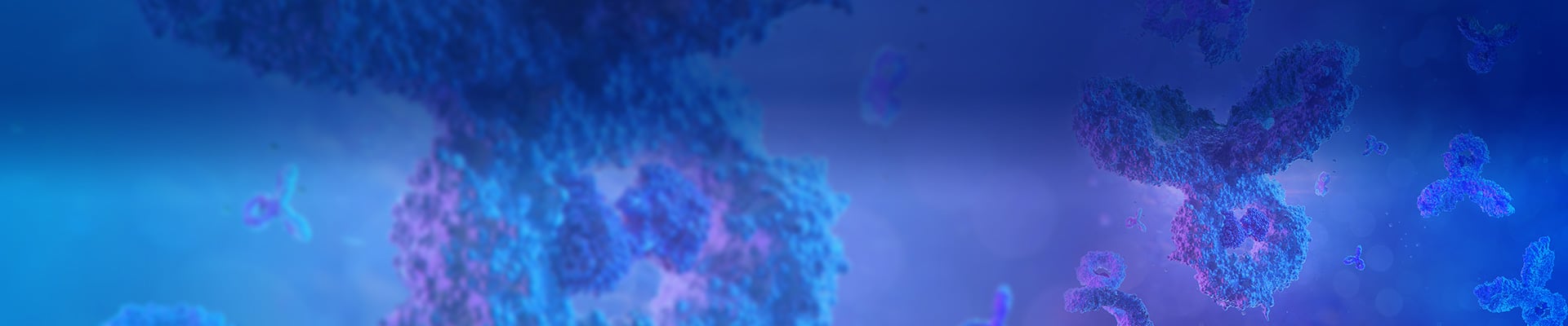 Recombinant Antibody Production