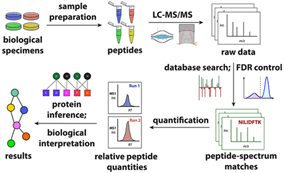 Confirming Gene Modulation Effects with LC-MS/MS Proteomics | GenScript