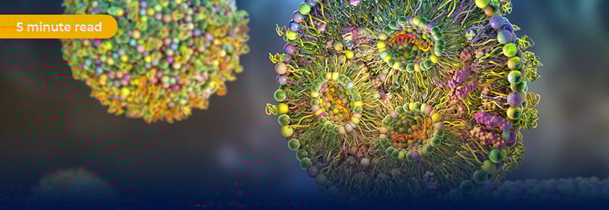 Lipid Nanoparticles - The Vanguard of CRISPR Delivery Systems