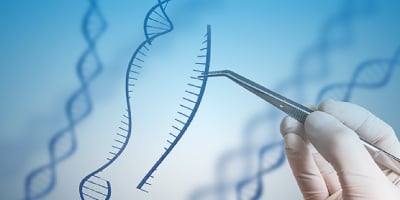 Use Single-Stranded DNA Donor Templates (ssDNA or ssODNs) for CRISPR Homology Directed Repair (HDR) Mediated Gene Knock-In