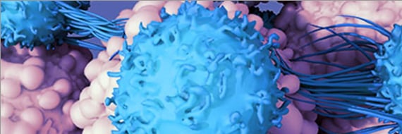 New High-throughput Platform to Expedite Shared Neoantigen-Based Cancer Immunotherapies