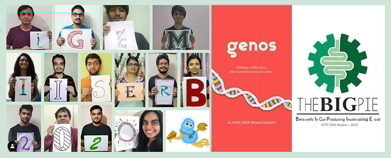 2020 iGEM Sponsorship 2020 iGEM Sponsorship