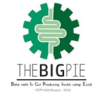 genscript igem 2021 sopnsorship winner