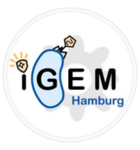iGEM Hamburg
