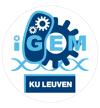 iGEM KU Leuven
