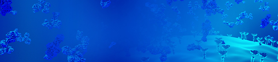 Monoclonal Antibody Services