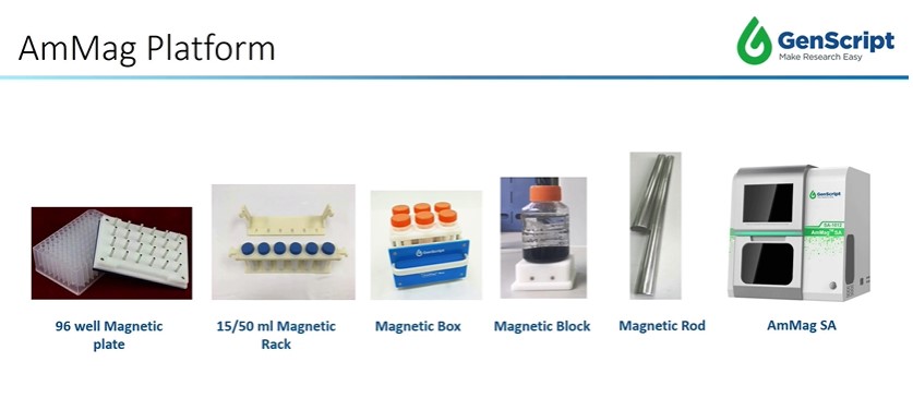 GenScript at PEGSBoston 2020 | GenScript