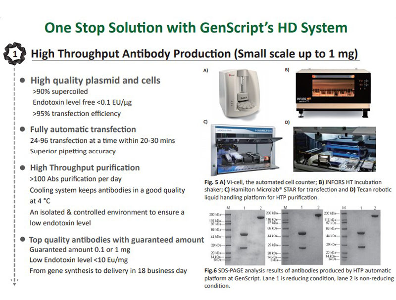 GenScript at PEGSBoston 2020 | GenScript