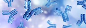 A Novel and Rapid Platform to Generate Gram-level Antibodies for Diagnostic and Therapeutic Use