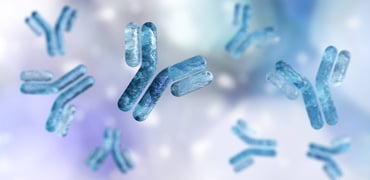 Anti-Idiotypic Antibody Platforms for Accelerating Antibody Drug Discovery