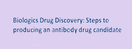 Biologics Drug Discovery: Steps to Achieving an Antibody Drug Candidate