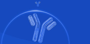 Bispecific Antibody Overview & CrossMab Technology | GenScript