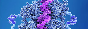 Identification and Characterization of a Novel Biomarker for Cancer Therapy