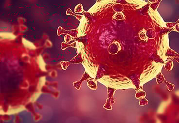 COVID-19 and emerging bat zoonotic viruses (EBZV) in a quarter of century