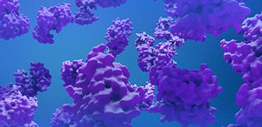 Enzyme Optimization and Production via an <em>E. coli</em> One-Stop Solution