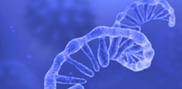 Fast-Tracking IVT mRNA Candidate Selection Through Smarter RNA Design