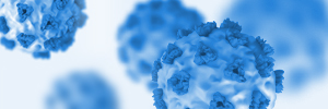 Generate Highly Purified, Functional and Expandable Human T Cells/NK Cells from PBMC or Apheresis with CytoSinct™ Reagent and Platform