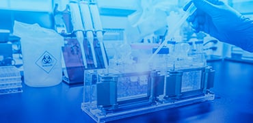 Get western blot done in 3 hours: Ways to streamline your WB process