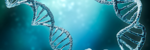 High-Quality Plasmid DNA Manufacturing Strategies for Gene and Cell Therapeutics