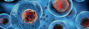 High-Quality Plasmid DNA Manufacturing Strategies for Gene and Cell Therapeutics