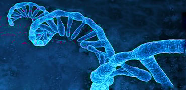 How Cell-free mRNA Templates Support Faster Research with High-quality and Quick Turnaround?