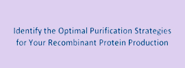 Identify the optimal protein purification strategy for your recombinant protein production