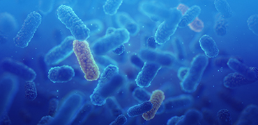 BioSAXS – A method to accelerate and de-risk antimicrobial drug development