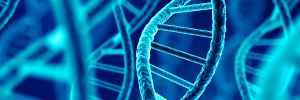 Metabolic pathway engineering using High-Throughput DNA Library Assembly