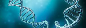 Multidimensional Approach to Decoding the Mysteries of Animal Development