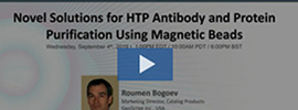 Novel Solutions for HTP Antibody and Protein Purification Using Magnetic Beads