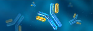 Overcoming Timeline Challenges In Antibody Drug Discovery
