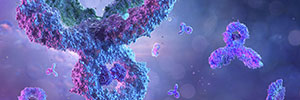 Customized antibody generation for therapeutics and diagnostics research applications