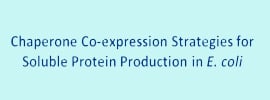 Chaperone co expression strategies for recombinant soluble protein production in <em>E. Coli</em>