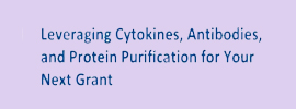 Leveraging GenScript’s cytokines, antibodies, and protein purification tools to explore Ideas for your next grant