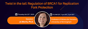 Twist in the tail: Regulation of BRCA1 for Replication Fork Protection