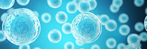 Scalable Lentiviral Vector Manufacturing Using Suspension Cell Line