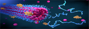 Speed Up and Simplify Your Antibody and Protein Purification with Magnetic Separation