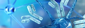 State of art in antibody engineering for better therapeutic antibodies