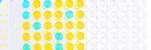 Tips for Successful ELISA kit Development