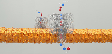 Nanopore Proteomics: How to Analyze Full-Length Proteins with Single-Molecule Sensing