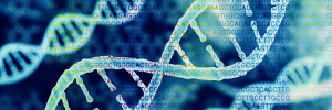Unleash the power of NGS target enrichment by semiconductor